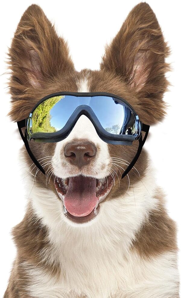 Dog Sunglasses